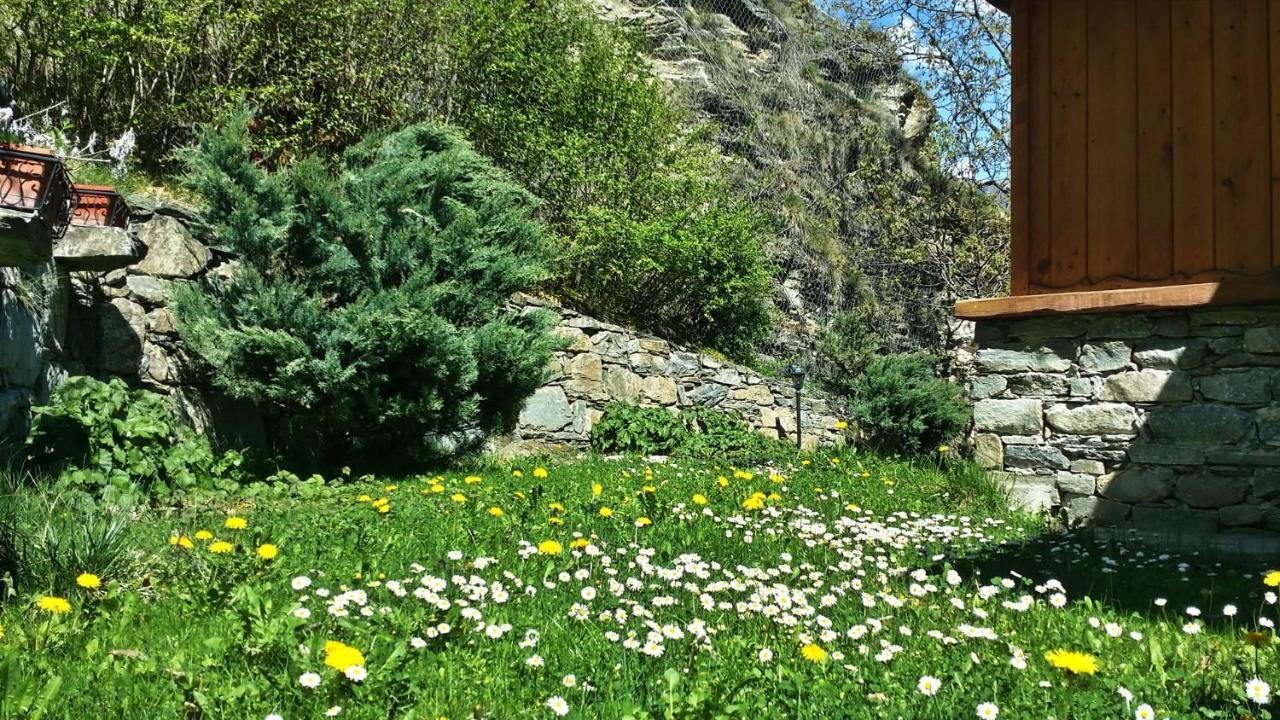 Il Rifugio Della Volpe Διαμέρισμα Introd Εξωτερικό φωτογραφία